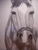by Beth Sheehan
