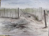by Carol Lincker