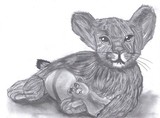 by kat haines