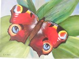 by lynette rate