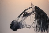 by Michele Turney