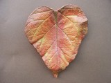by Nanci Shufritz