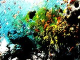 by karie Miller