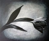 by Monique Wiersma-Marinussen