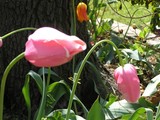 by Judy Kern