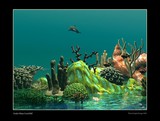 by Astrid van der Eerden