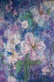 by Sandra McClure