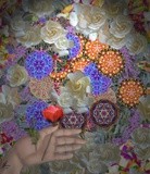 by Maria Anna Machado