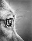 by Kerli Toode