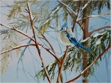by Alison Vernon