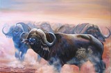 by Suzanne Barrett  Justis