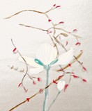 by Michela Akers