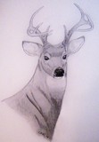 by Tyson McKIbben