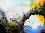 by Nandor Molnar