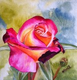 by Sheral Fernandes