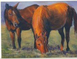 by Joan  Wulff