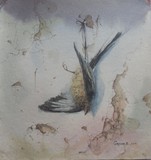 by eugeniu gorean