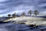 by Barsan Mihai