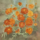 by Carol Thompson