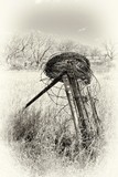 by Steven Swanson