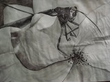 by Molly Belinsky