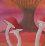 by Lucy-mae Gunders