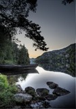 by JAN OLE SÆLØEN