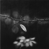 by Rupesh Patric