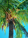 by Jeanette Schumacher