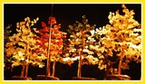 by Gaur Gour