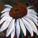 by Tami Booher