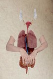by Florence Iff