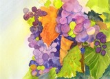 by Maria A. Bales