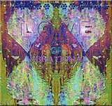 by Tammie LaMountain