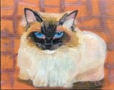 by Irina Stroup