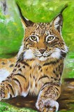 by Olga Koval