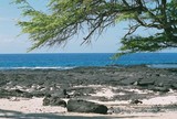 by Reef Upwelling