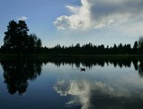 by Jo-Hanna Wienert