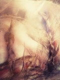by Sabrina Laughlin
