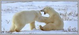 by Harry Eggens