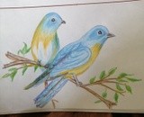 by Shanti Krishnan