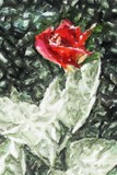 by Lyle  Kroll