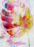 by Georgia Chagas