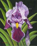 by Kathleen Brake