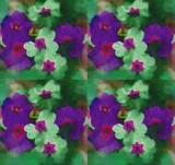 by Pepita Selles