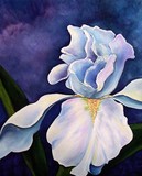 by Barbara Beck-Azar