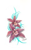 by Gayle Taylor