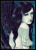 by Rebecca Sinz