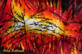 by Nira Dabush