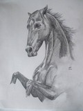 by Nastasia Nianiaris